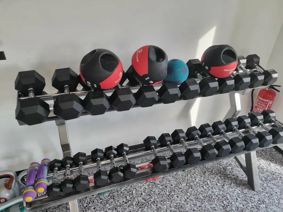 Rack de deux rangées d’haltères et de medecine balls à la Salle de Musculation Gévaudan, Saugues